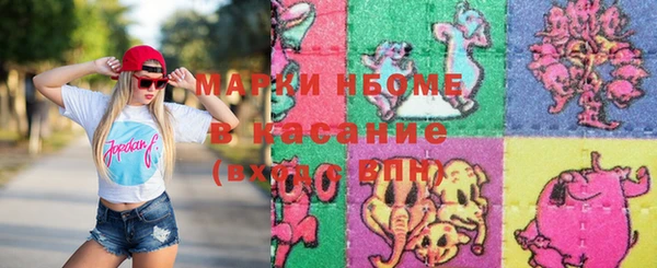 МДПВ Инсар